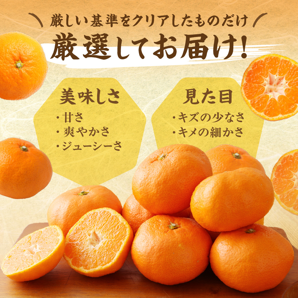 むなかた温州みかん 5kg 【2026年10月下旬～12月発送】【JAほたるの里】_HA1345