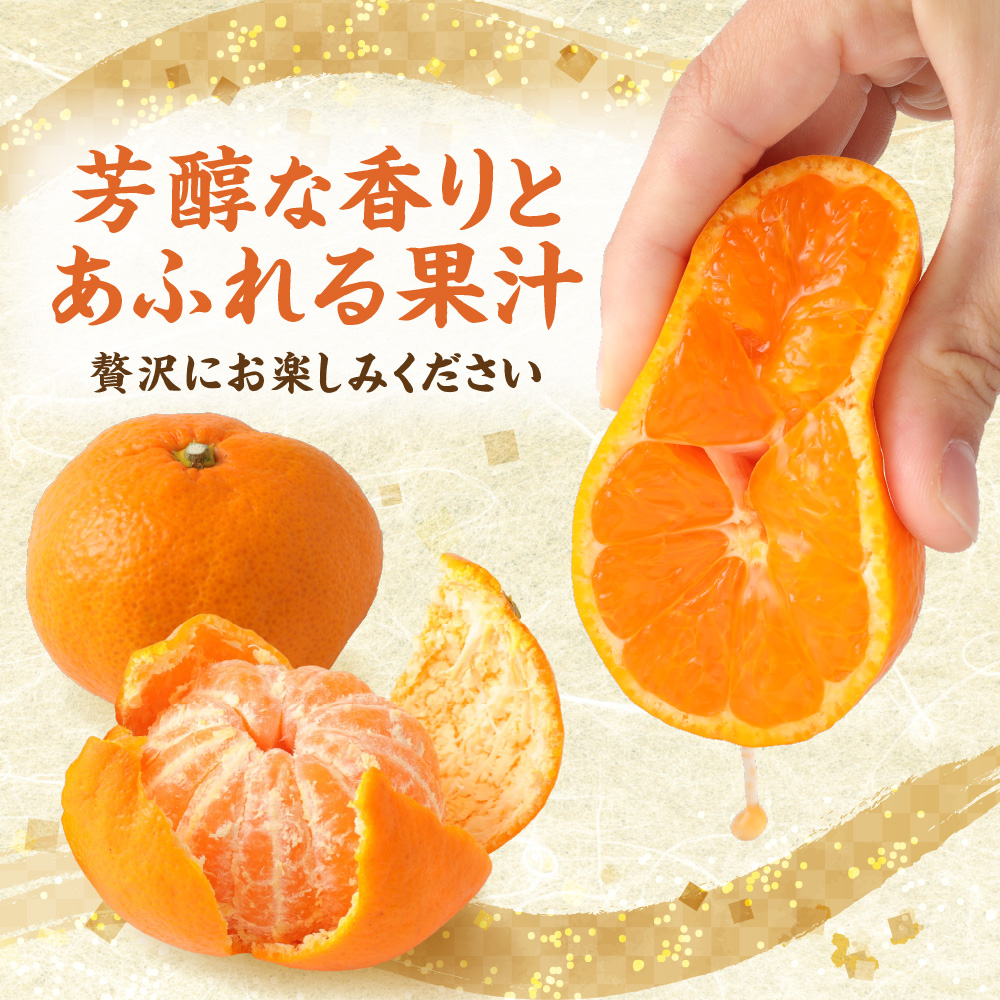 むなかた温州みかん 5kg 【2026年10月下旬～12月発送】【JAほたるの里】_HA1345