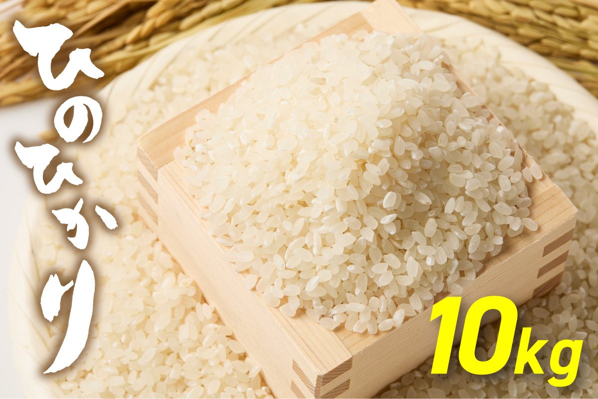 令和7年産 「ひのひかり」10kg【ほたるの里】_HA1787