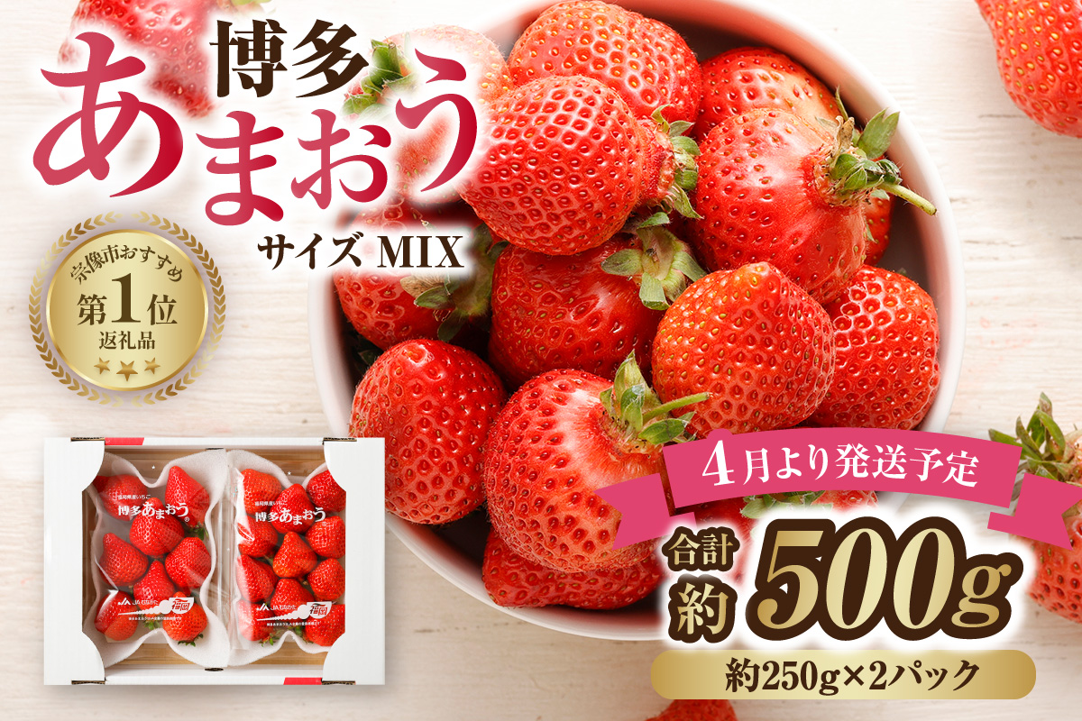 【先行予約】【アフター保証】4月発送！JAよりお届け！「博多あまおう」約250g×2パック【ほたるの里】_HA1938 ふるさと 納税 果物 フルーツ 甘い イチゴ 苺 あまおう デザート 旬 手土産 プレゼント いちご 博多あまおう 福岡