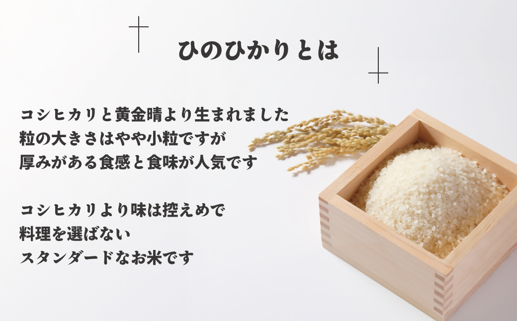 【令和7年産】わがまち育ち 無洗米 ひのひかり 10kg_HA1961