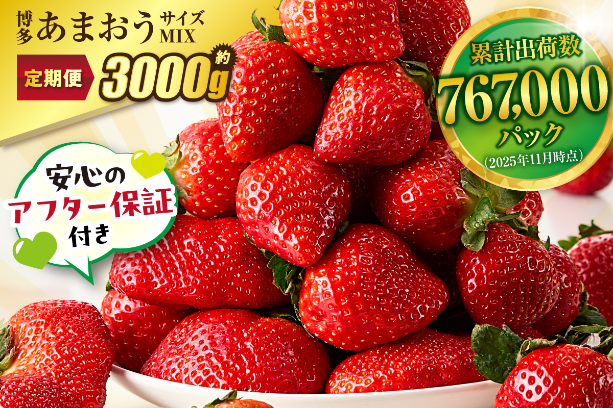 【定期便／3ヶ月連続お届け】大人気のあまおう 250g×4パック 計3回 総量3.0kg 3ヶ月定期便 福岡県産いちご【JAほたるの里】_HB0032