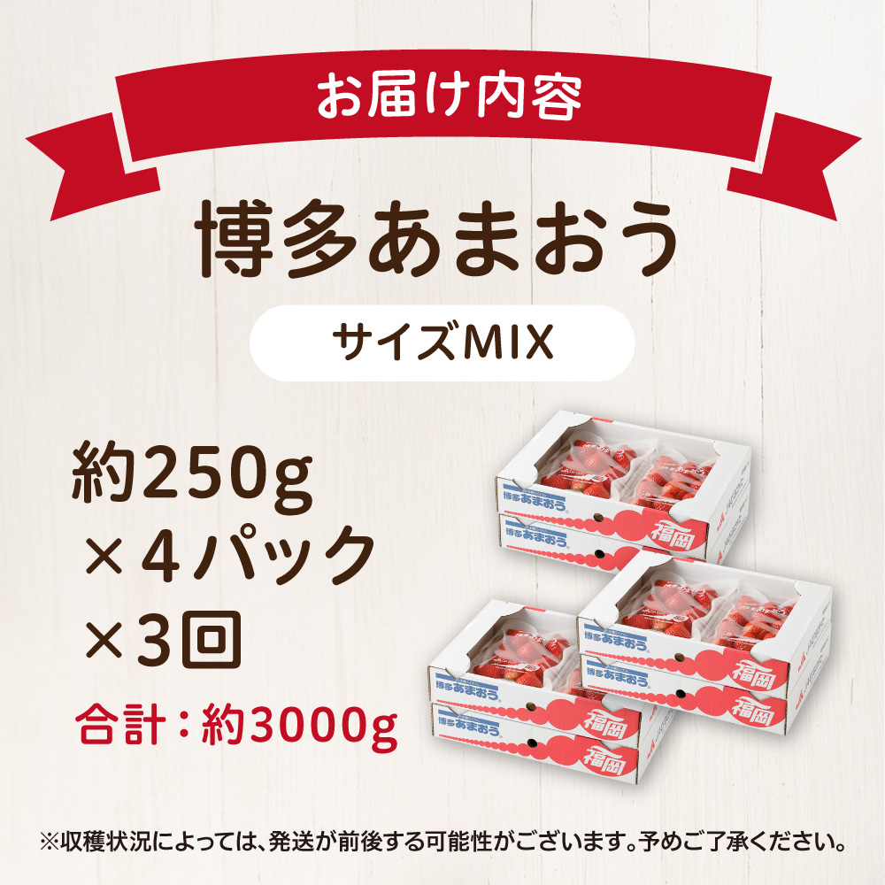 ãå®æäŸ¿ïŒ3ã¶æé£ç¶ãå±ãã倧人æ°ã®ããŸãã 250gÃ4ãã㯠èš3å ç·é3.0kg 3ã¶æå®æäŸ¿ çŠå²¡çç£ãã¡ããJAã»ããã®éã_HB0032