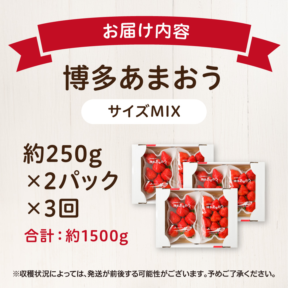 ãå®æäŸ¿ïŒ3ã¶æé£ç¶ãå±ããåå€ããŸãã çŽ250gÃ2ãã㯠èš3å ç·é1.5kg 3ã«æå®æäŸ¿ãã»ããã®éã_HB0075