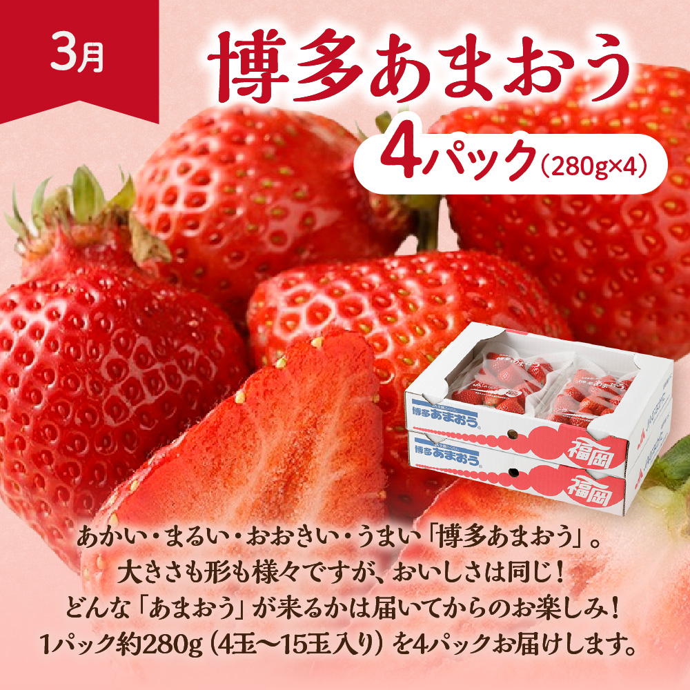 【定期便/年４回】旬の福岡フルーツ定期便【ほたるの里】_HB0087