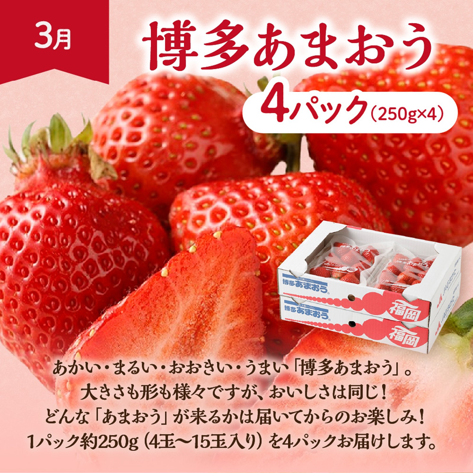 【定期便/年４回】旬の福岡フルーツ定期便【ほたるの里】_HB0087