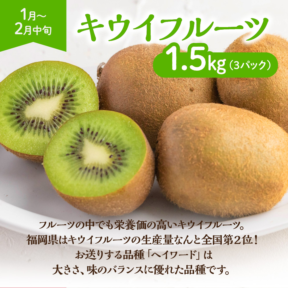 【定期便/年4回】ＪＡむなかた厳選！人気のフルーツ定期便【ほたるの里】_HB0140