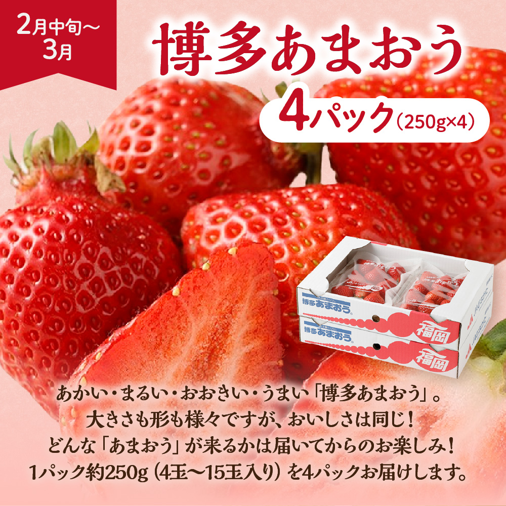 【定期便/年4回】ＪＡむなかた厳選！人気のフルーツ定期便【ほたるの里】_HB0140