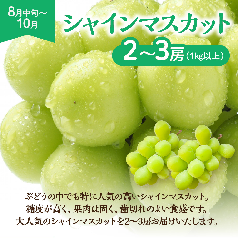 【定期便/年4回】ＪＡむなかた厳選！人気のフルーツ定期便【ほたるの里】_HB0140