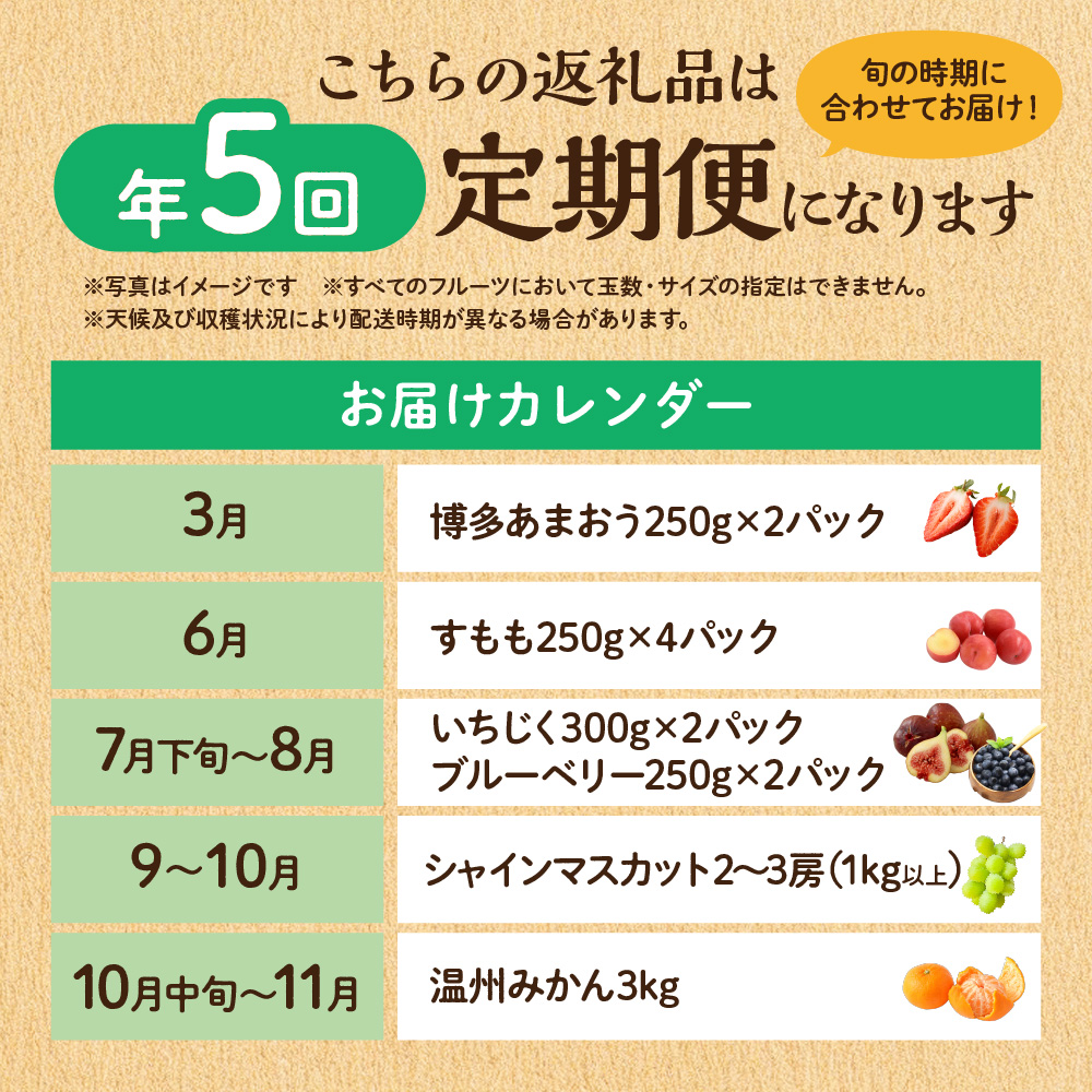 【定期便/年5回】JAむなかた厳選！人気フルーツ定期便【JAむなかた ほたるの里】_HB0164