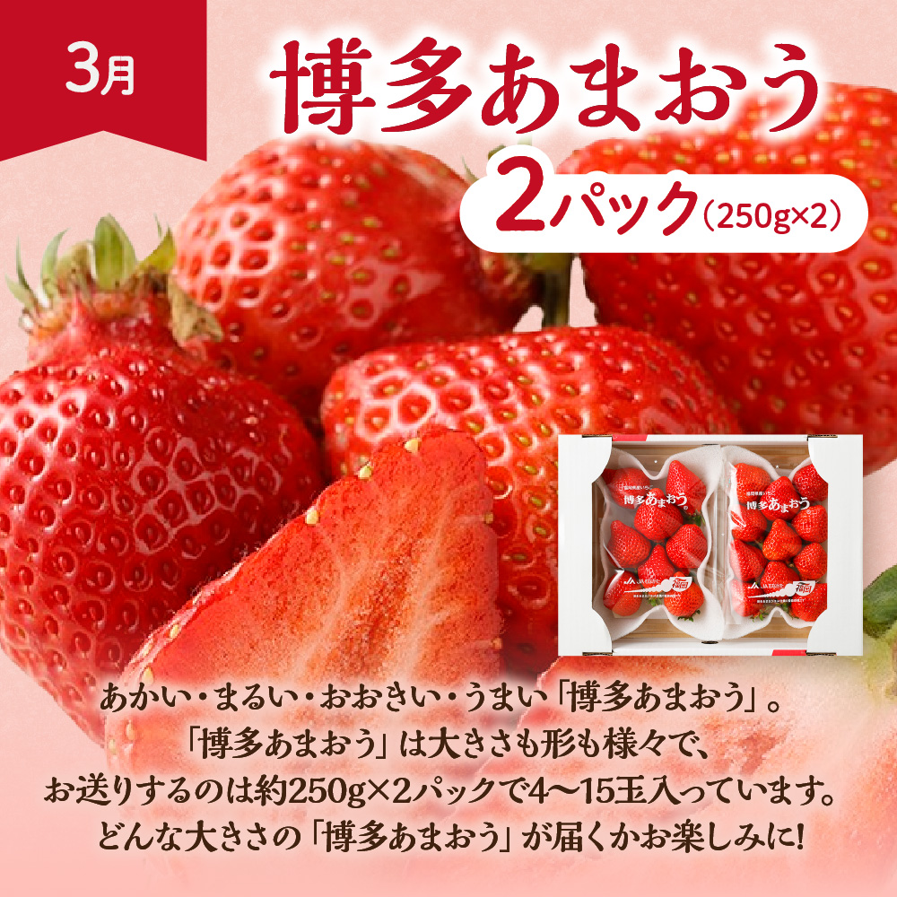 【定期便/年5回】JAむなかた厳選！人気フルーツ定期便【JAむなかた ほたるの里】_HB0164