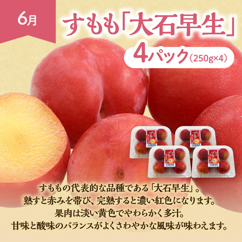 【定期便/年5回】JAむなかた厳選！人気フルーツ定期便【JAむなかた ほたるの里】_HB0164