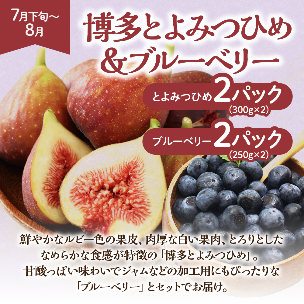 【定期便/年5回】JAむなかた厳選！人気フルーツ定期便【JAむなかた ほたるの里】_HB0164