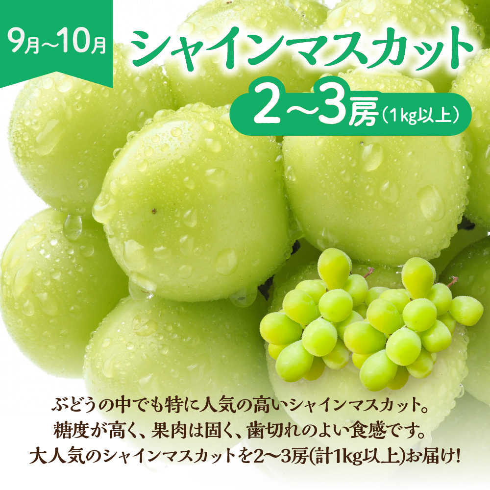 【定期便/年5回】JAむなかた厳選！人気フルーツ定期便【JAむなかた ほたるの里】_HB0164