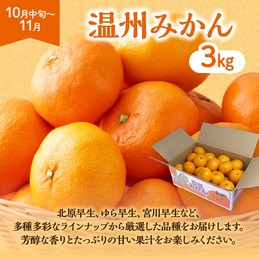 【定期便/年5回】JAむなかた厳選！人気フルーツ定期便【JAむなかた ほたるの里】_HB0164