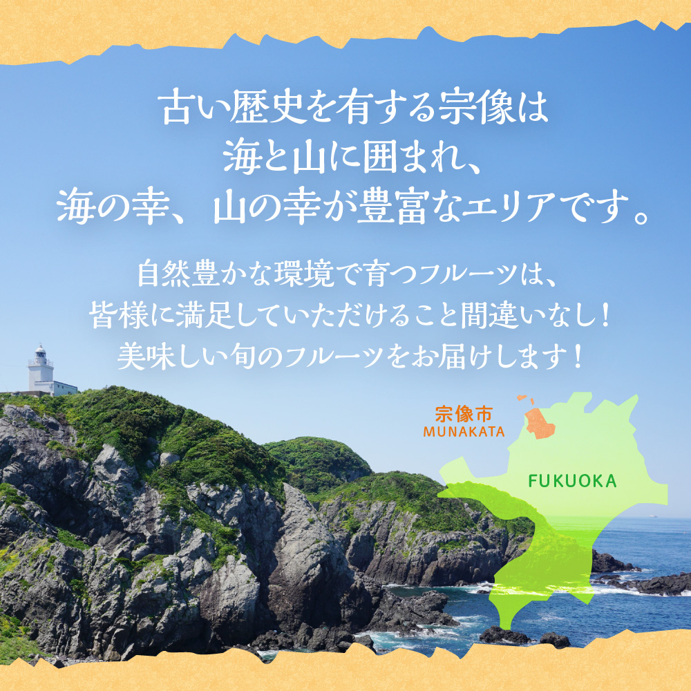 【定期便/年5回】JAむなかた厳選！人気フルーツ定期便【JAむなかた ほたるの里】_HB0164