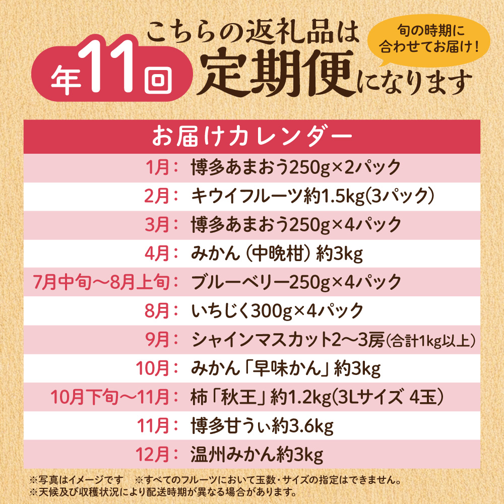 【定期便/年11回】JAむなかた厳選！旬のフルーツ定期便【JAほたるの里】_HB0171