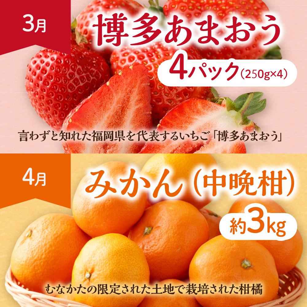 【定期便/年11回】JAむなかた厳選！旬のフルーツ定期便【JAほたるの里】_HB0171