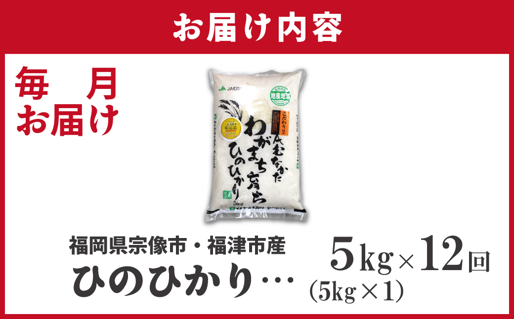 什å7å¹Žç£ æ°ç±³å
è¡äºçŽïŒãå®æäŸ¿/幎12åããã²ã®ã²ããã5kgãã»ããã®éã_HB0197