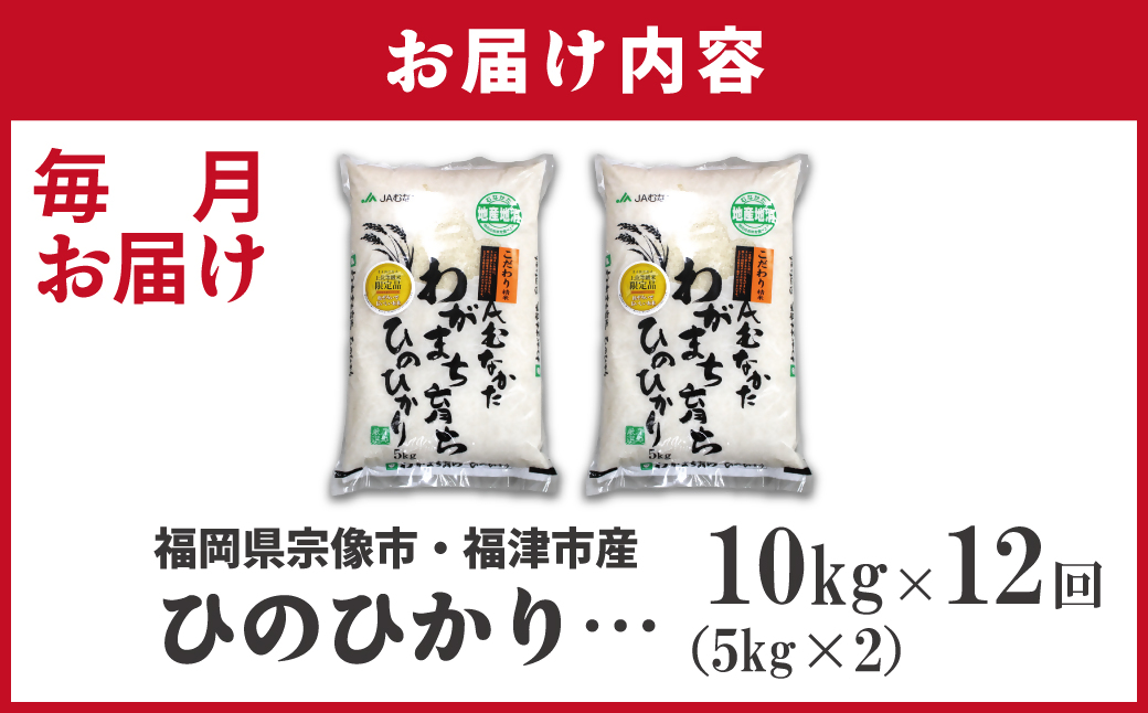 什å7å¹Žç£ æ°ç±³å
è¡äºçŽïŒãå®æäŸ¿/幎12åããã²ã®ã²ããã10kgãã»ããã®éã_HB0199