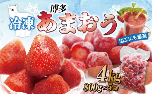 急速冷凍！人気のあまおう 冷凍いちご 大容量4kg【JAほたるの里】_HA1514
