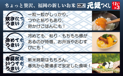 福岡県産米　「元気つくし」パックご飯　200ｇ×24パック【JＡほたるの里】_HA1312