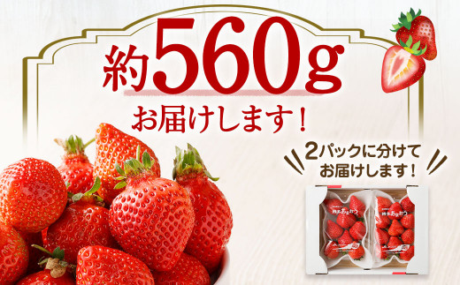 大粒セレクト！大人気のあまおう 約280g×2パック【2025年2月中旬～3月お届け】【JAほたるの里】_HA0277