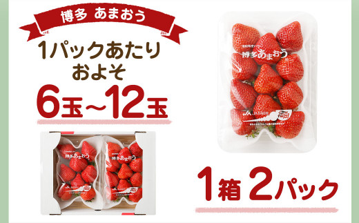 大粒セレクト！大人気のあまおう 約280g×2パック【2025年2月中旬～3月お届け】【JAほたるの里】_HA0277