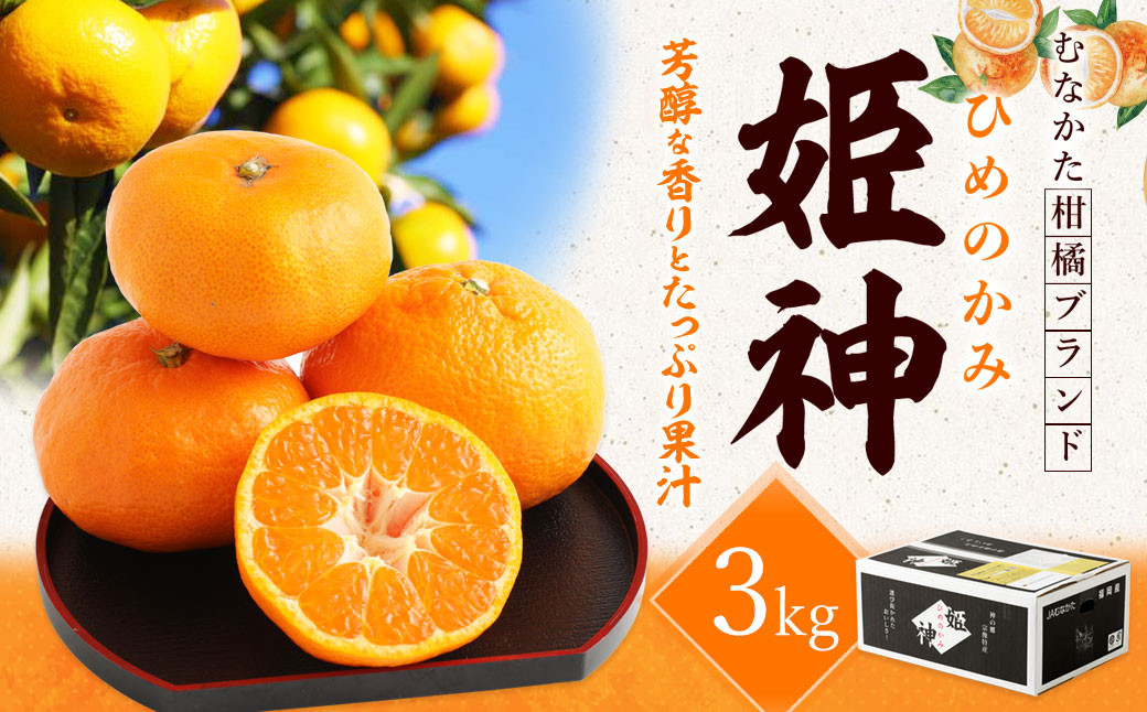 旬のミカンをお届け！JAむなかた柑橘ブランド「姫神」3kg 甘くておいしいみかん【2025年1月～4月上旬発送】【ほたるの里】_HA0281