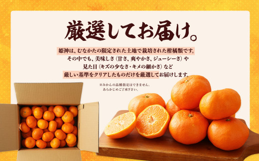 旬のミカンをお届け！JAむなかた柑橘ブランド「姫神」5kg 甘くておいしいみかん【2025年1月～4月上旬発送】【ほたるの里】_HA0280