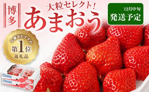 どこよりも早くお届け！12月発送「博多あまおう」約280g×4パック【ほたるの里】_HA0502