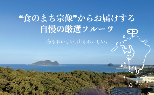 何が届くかお楽しみ！むなかた旬のフルーツ福袋セット【JAほたるの里】_HA1541