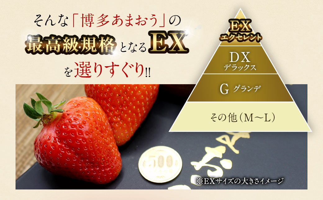 12月発送！「博多あまおう」EX　贈答用化粧箱　約450g 1箱【ほたるの里】_HA0754