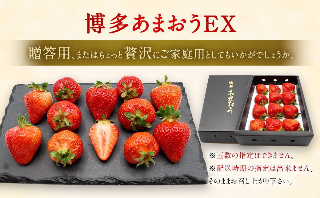 1月より順次発送！「博多あまおう」EX　贈答用化粧箱　約450g 1箱【ほたるの里】_HA0752