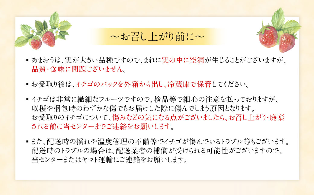 1月より順次発送！「博多あまおう」EX　贈答用化粧箱　約450g 1箱【ほたるの里】_HA0752