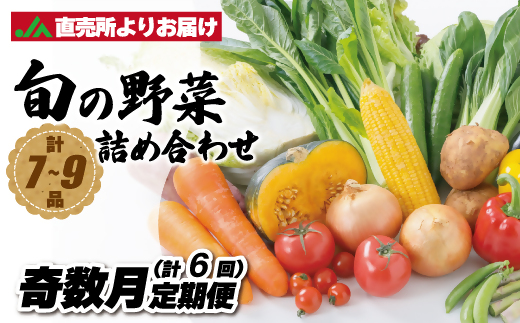 【奇数月お届け】むなかた旬のお任せセット(野菜) 7～9品【ほたるの里】_HB0172