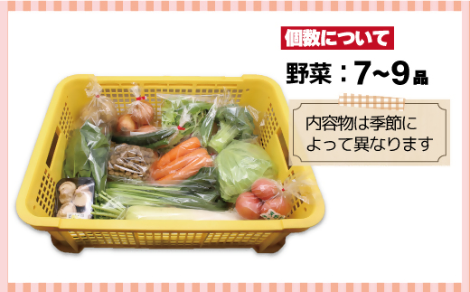 【毎月お届け】むなかた旬のお任せセット（野菜）7～9品【JAほたるの里】_HB0173