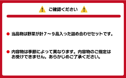 むなかた旬のお任せセット(野菜) 7～9品【JAほたるの里】_HA1569