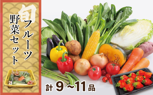 むなかた旬のお任せ セット(野菜・フルーツ)9～11品【JAほたるの里】_HA1570