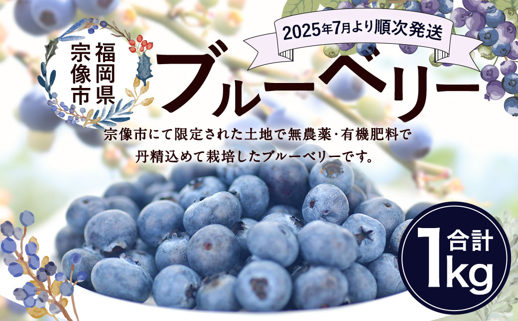 有機肥料で丹精込めて栽培した「ブルーベリー」1kg 栽培期間中農薬不使用　国産【JAほたるの里】_HA0273