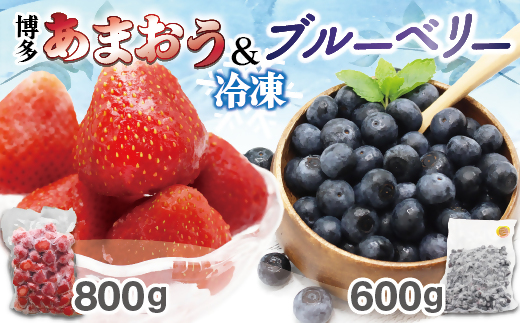 冷凍あまおう800g ＆ 冷凍ブルーベリー600gセット 計1.4kg【JAほたるの里】_HA1653