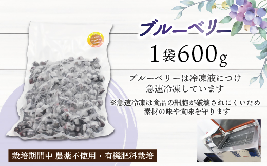 冷凍あまおう800g ＆ 冷凍ブルーベリー600gセット 計1.4kg【JAほたるの里】_HA1653