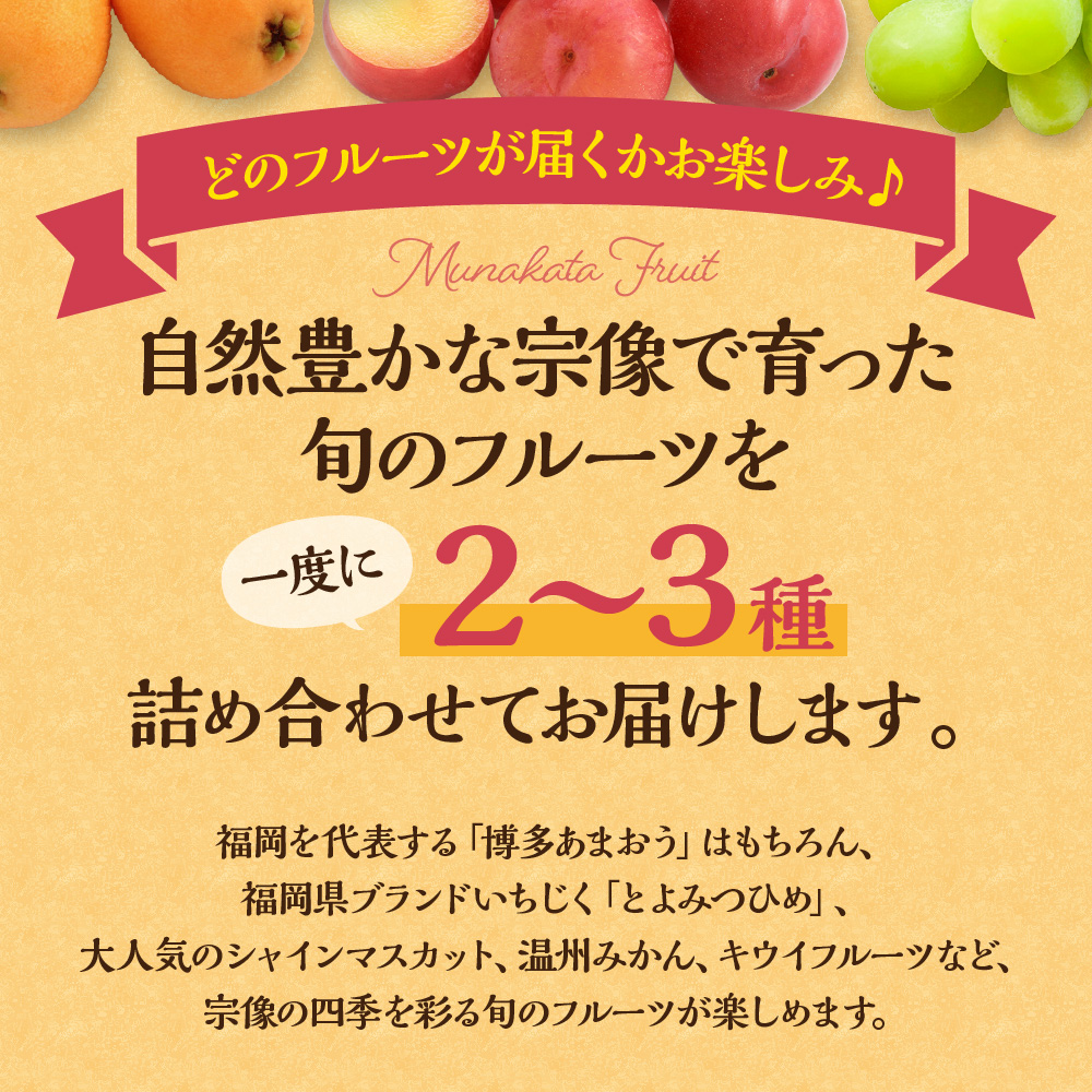 何が届くかお楽しみ！むなかた旬のフルーツ福袋セット【JAほたるの里】_HA1541