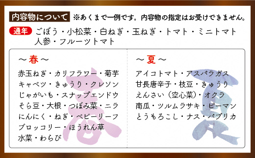 【定期便／年12回／毎月お届け】むなかた旬の野菜お任せセット 11～12品【ほたるの里】_HB0027