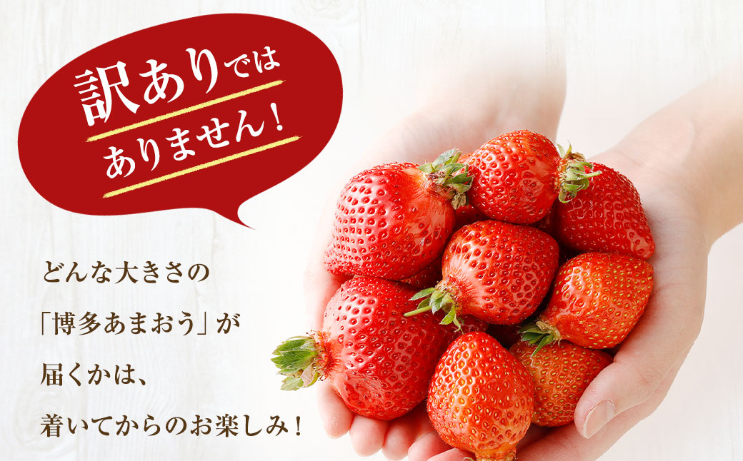 【定期便／3ヶ月連続お届け】アフター保証 大人気のあまおう 280g×4パック 計3回 総量3.36kg 3ヶ月定期便 福岡県産いちご【JAほたるの里】_HB0032