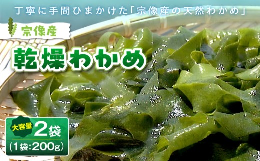 【道の駅むなかた】宗像産 乾燥カットわかめ 200g×2袋（計400g）_HA0447