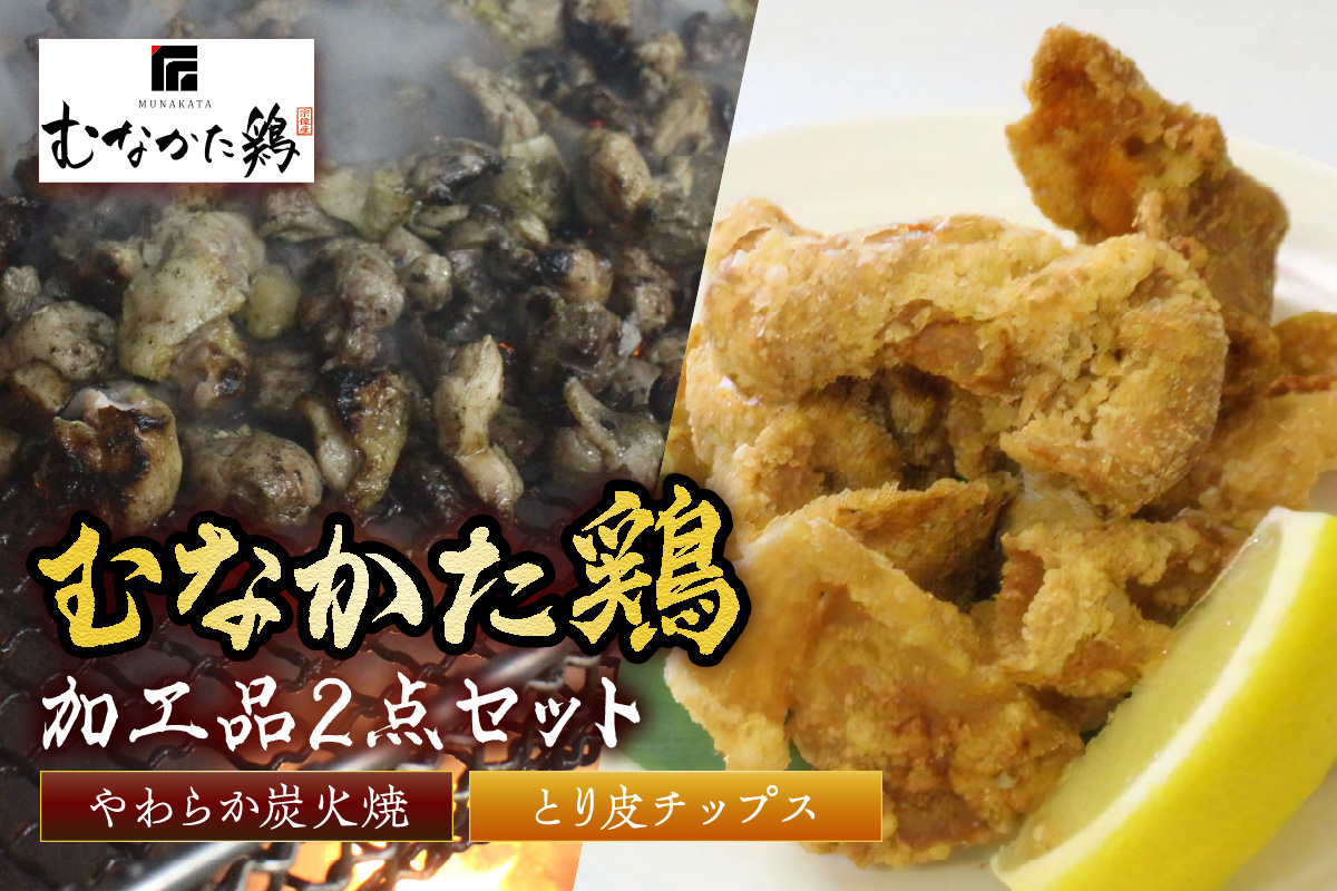 むなかた鶏加工品2点セット（とり皮チップス・やわらか炭火焼）【道の駅むなかた】_HA0772