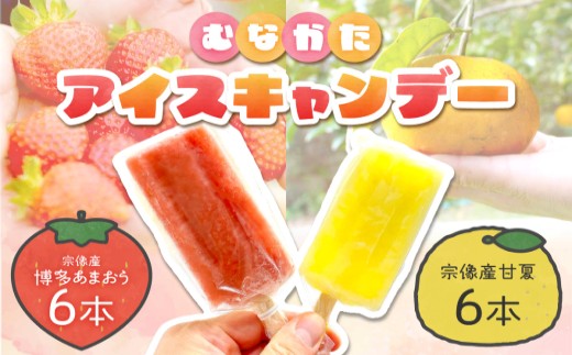 【道の駅むなかた】 むなかたアイスキャンデー（宗像産博多あまおう／宗像産甘夏）各6本（計12本）_HA1021
