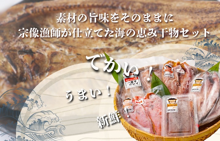 【道の駅むなかた】北野水産加工おすすめ 干物詰合せ_HA1819