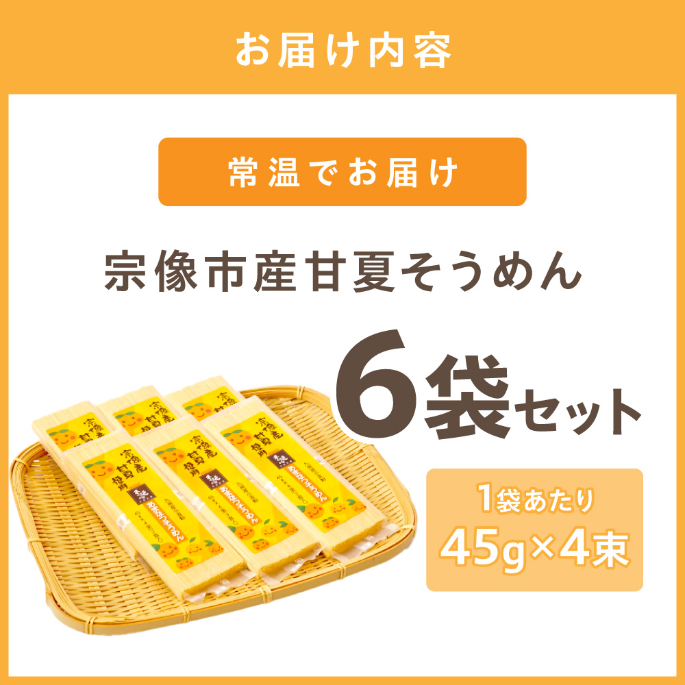 【道の駅むなかた】宗像市産甘夏そうめん 6袋セット_HA1826